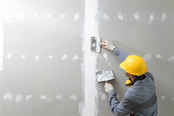  Catlin, IL Mold Removal Pros