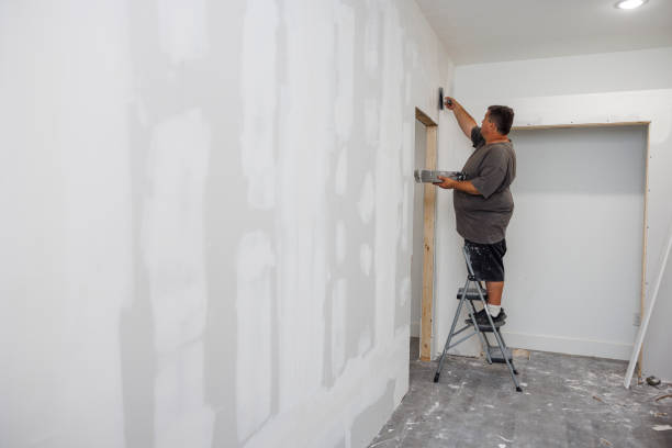 Best Air Quality Testing for Mold Spores  in Catlin, IL