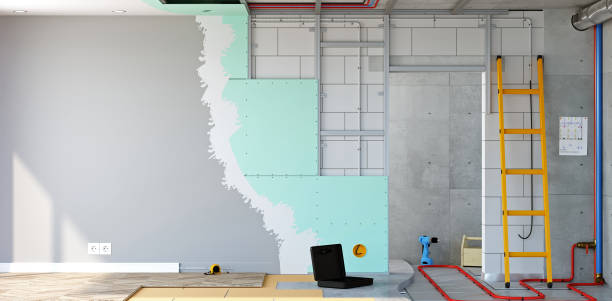 Best Mold Documentation for Insurance Claims  in Catlin, IL