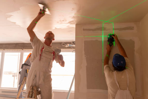 Best Mold Damage Restoration  in Catlin, IL