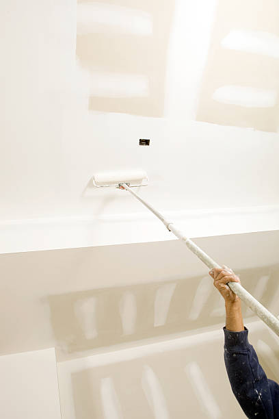 Best Black Mold Removal  in Catlin, IL