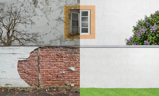 Best Black Mold Removal  in Catlin, IL