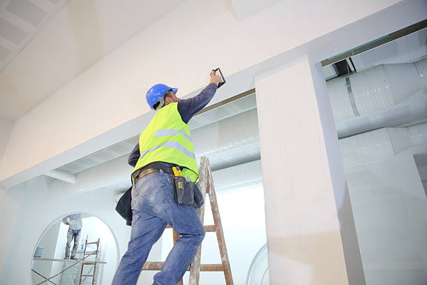 Best Forensic Mold Investigation  in Catlin, IL