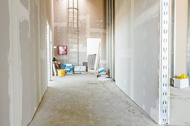 Best Mold Removal for HVAC Installations  in Catlin, IL