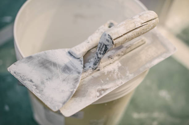 Best Comprehensive Air Testing for Mold Contaminants  in Catlin, IL
