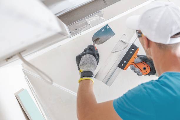Best Industrial Mold Remediation  in Catlin, IL